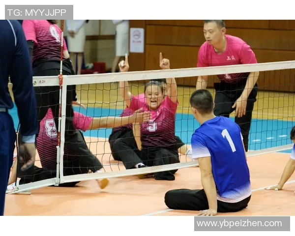 2023年排球实力榜单揭晓上海排球队稳居第一名