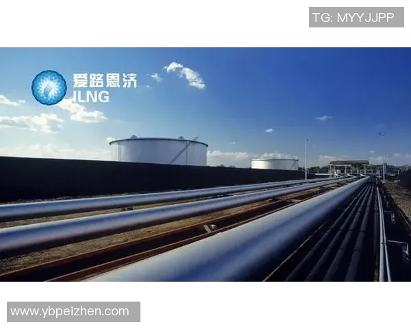 城市赛分析:LNG在耐力赛中的卓越表现与未来展望 城市赛分析:LNG在耐力赛中的卓越表现与未来展望