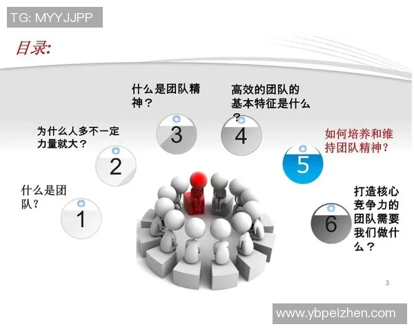 成都篮球队团队协作的成功之道与战术解析探讨