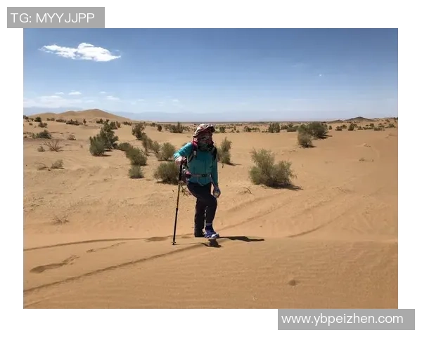 深度对话：探索张静在王者荣耀中的成长与挑战之旅
