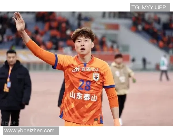 2017年山东鲁能与河北华夏激战回顾精彩瞬间与赛季表现分析 2017年山东鲁能与河北华夏激战回顾精彩瞬间与赛季表现分析