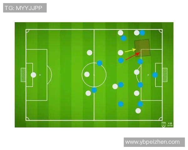 北京排球队的默契配合与战术分析探讨
